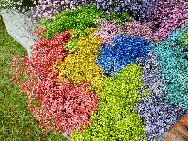 2015　からむし織の里フェア